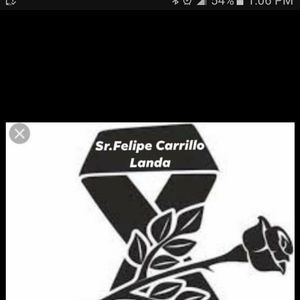 Meet your Posher, Janelee